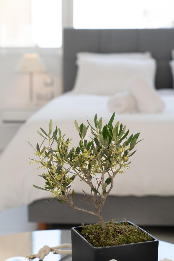 Olvar Suites Αθήνα Εξωτερικό φωτογραφία